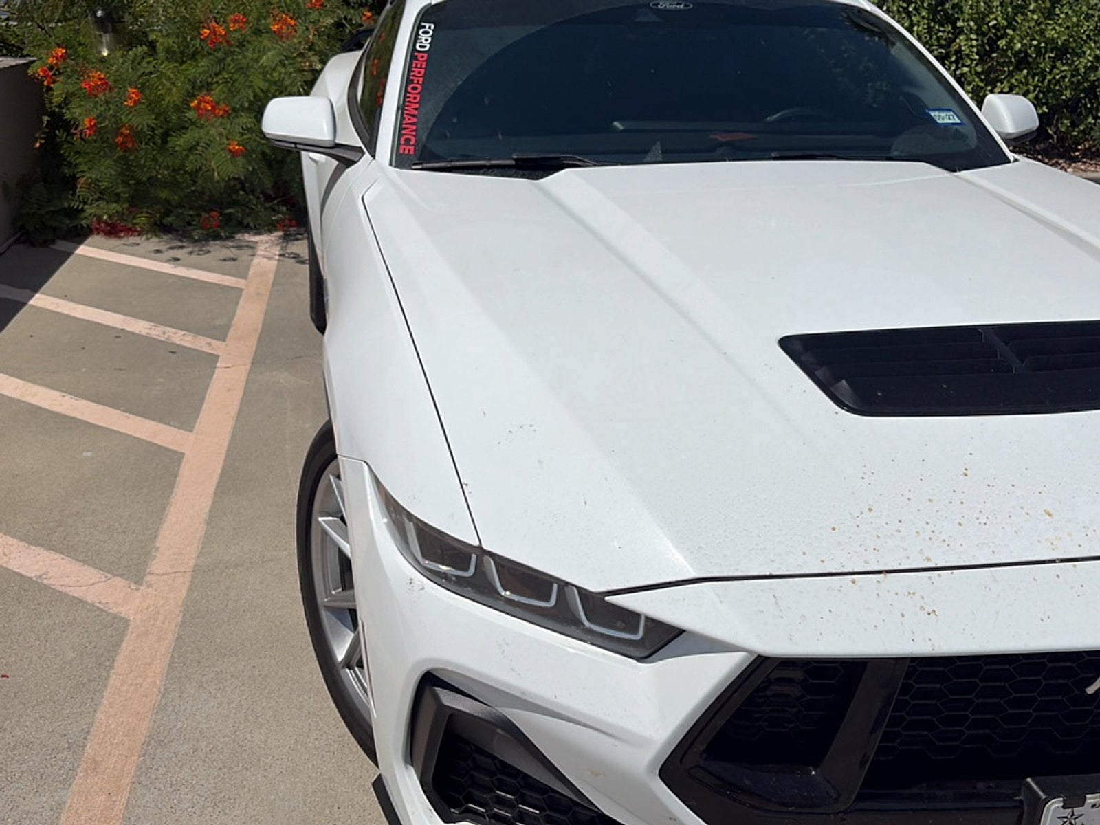 2024 Ford Mustang GT Premium Fastback