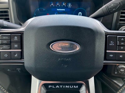 2024 Ford F-250 Platinum